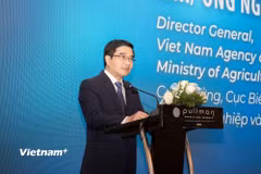 Ông Nguyễn Đức Toàn - Cục trưởng Cục Biển và Hải đảo Việt Nam. (Ảnh: PV/Vietnam+)