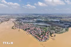 Tổng thiệt hại do thiên tai gây ra từ đầu năm 2025 đến nay, lên đến khoảng 35.000 tỷ đồng. (Ảnh: Hoàng Hiếu/TTXVN)