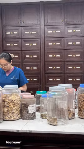 Các bài thuốc từ y học cổ truyền. (Ảnh: Thùy Giang/Vietnam+)
