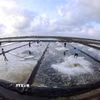 Thu hoạch muối ở Hợp tác xã Diêm nghiệp Diêm Điền, xã Long Điền, tỉnh Cà Mau. (Ảnh: Vũ Sinh/TTXVN)