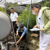 Các vũng nước đọng là môi trường thuận lợi cho muỗi và bọ gậy phát triển, làm tăng nguy cơ xuất hiện và lan rộng các ổ dịch sốt xuất huyết. (Ảnh: Nguyễn Cúc/TTXVN)