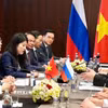 Thủ tướng Chính phủ Lê Minh Hưng tiếp Tổng Giám đốc Quỹ Đầu tư trực tiếp Nga Kiril Dmitriev. (Ảnh: TTXVN)