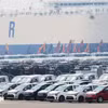 Ôtô chờ xuất khẩu tại cảng ở Pyeongtaek, phía nam thủ đô Seoul, Hàn Quốc. (Ảnh: Yonhap/TTXVN)