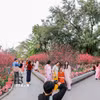 Dịp Tết Nguyên đán 2027 nghỉ từ thứ Năm ngày 4/2/2027 (tức ngày 28 tháng Chạp năm Bính Ngọ) đến hết thứ Tư ngày 10/2/2027 (tức ngày mùng 5 tháng Giêng năm Đinh Mùi). (Ảnh: Khánh Hòa/TTXVN)