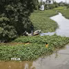 Lực lượng thủy lợi Thanh Hóa tập trung xử lý vật cản, tạo điều kiện cho dòng nước lưu thông, góp phần tiêu thoát nước tại các khu dân cư và diện tích sản xuất nông nghiệp bị ảnh hưởng bởi mưa lớn. (Ảnh: Khiếu Tư/TTXVN)
