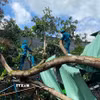 Thiên tai không gây thiệt hại về người nhưng làm 5 căn nhà bị tốc mái, hư hỏng và gây thiệt hại về cây trồng của người dân. (Ảnh: Đậu Tất Thành/TTXVN)
