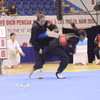 Đội tuyển Pencak Silat Việt Nam đã giành đến 16 huy chương Vàng tại giải châu Á 2026. (Ảnh: Lê Xuân/TTXVN)
