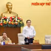 Chủ tịch Quốc hội Trần Thanh Mẫn phát biểu khai mạc phiên họp. (Ảnh: Doãn Tấn/TTXVN)