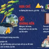 Phòng tránh tai nạn cây xanh gãy, đổ khi mưa lớn