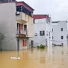Nước sông Cầu dâng cao gây ngập nhà dân tại phường Kinh Bắc, tỉnh Bắc Ninh. (Ảnh: Thanh Thương/TTXVN)