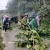 Bộ đội Biên phòng tỉnh Lạng Sơn phát dọn điểm sạt lở đất taluy dương trên tuyến đường giao thông biên giới. (Ảnh: TTXVN phát)