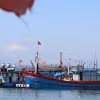 Kiểm soát chặt tàu cá không đáp ứng quy định IUU. (Ảnh: Đoàn Hữu Trung/TTXVN)