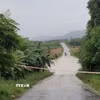 Ảnh minh họa. (Ảnh: TTXVN phát)