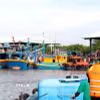 Ảnh minh họa. (Ảnh: Nguyễn Thanh/TTXVN)