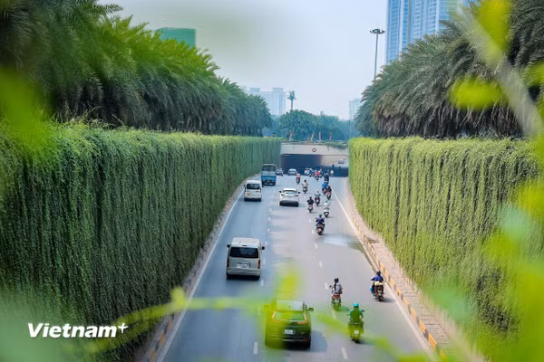 Từ “đối phó” sang “quản trị”: Bước chuyển căn bản tư duy bảo vệ môi trường 