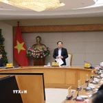 Phó Thủ tướng Hồ Quốc Dũng phát biểu tại cuộc họp. (Ảnh: TTXVN phát)