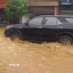 Ảnh minh họa. (Ảnh: Hương Thu/TTXVN)
