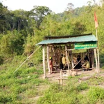 Ban Quản lý rừng phòng hộ Sêrêpốk lập chốt canh rừng tại vị trí từng xảy ra phá rừng thuộc tiểu khu 208-209. (Ảnh: Chu Quốc Hùng/TTXVN)