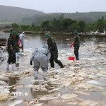 Váng dầu tràn ra ruộng sản xuất lúa của người dân xã Vạn Tường. (Ảnh: Phạm Cường/TTXVN)