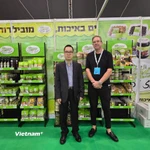 Tham tán Thương vụ Đại sứ quán Việt Nam Lê Thái Hòa tại một gian trưng bày. (Nguồn: Vietnam+)