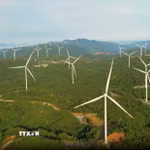 (Ảnh minh họa: Nguyên Linh/TTXVN)