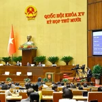 Quốc hội biểu quyết thông qua Luật sửa đổi, bổ sung một số điều của Luật Giáo dục. (Ảnh: Doãn Tấn/TTXVN)