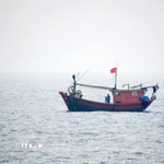 Tàu cá Việt Nam hoạt động trên vùng biển phía Bắc Vịnh Bắc Bộ. (Ảnh: TTXVN phát)