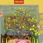 Mùa Xuân theo chân người lính tại tuyến đầu biên giới Tây Nam