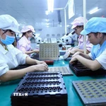 Phụ nữ ngày càng tham gia vào nhiều lĩnh vực sản xuất và đóng vai trò quan trọng. (Ảnh: TTXVN)