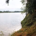 Sạt lở bờ sông Thạch Hãn khiến nhiều diện tích đất sản xuất của người dân xã Ái Tử không còn. (Ảnh: Tường Vi/TTXVN)