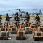 Số ma túy thu giữ. (Ảnh minh họa: AFP/TTXVN)