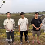 Ba đối tượng nhập cảnh trái phép từ Campuchia về Việt Nam bị bắt giữ tại khu vực Mốc 170/1, thuộc ấp Rừng Dầu, xã Bến Cầu, tỉnh Tây Ninh. (Ảnh: TTXVN phát)