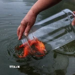 Thả cá chép tiễn ông Công, ông Táo về trời. (Nguồn: TTXVN)