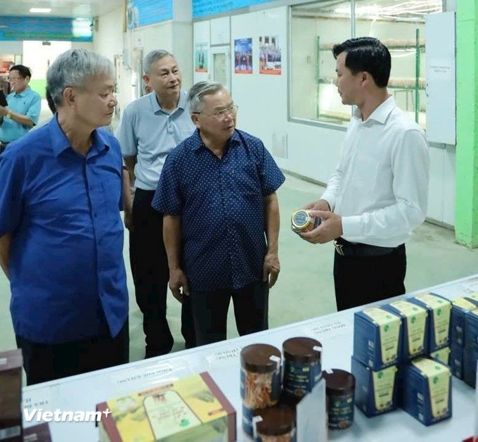 Du khách tham quan, trải nghiệm sản phẩm tại Hợp tác xã Nấm Tam Đảo, xã Tam Đảo, tỉnh Phú Thọ. (Ảnh: Nguyễn Thảo/Vietnam+)