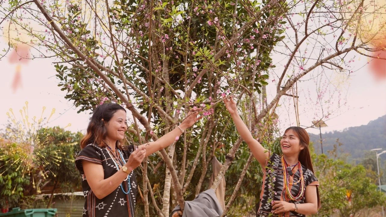 Xã Hùng Sơn vượt qua sạt lở, đón xuân ấm áp với 'Xuân Biên phòng - Ấm lòng dân bản'