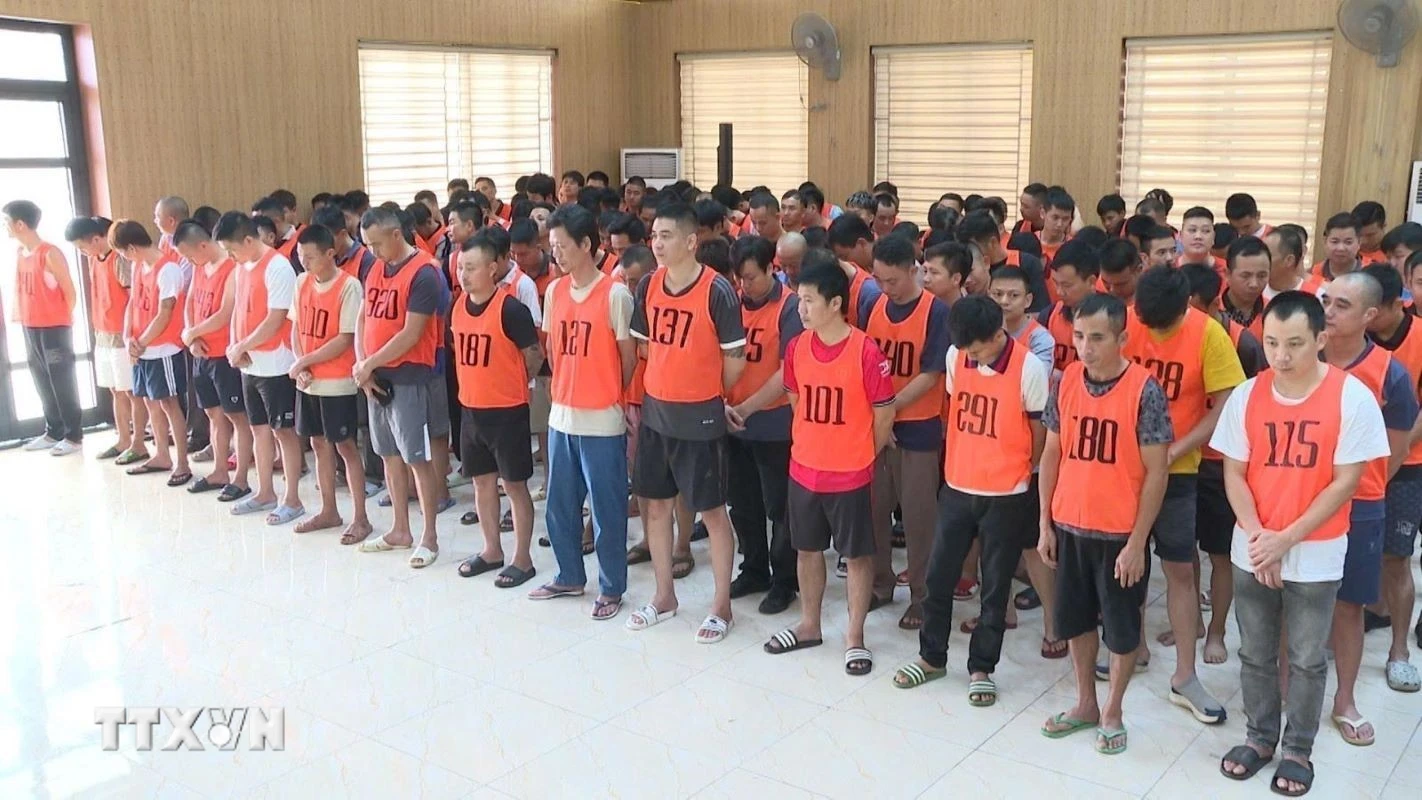 Triệt phá đường dây đá gà xuyên quốc gia với số tiền giao dịch hơn 1.200 tỷ đồng