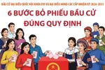 Bầu cử Quốc hội và HĐND: 6 bước bỏ phiếu bầu cử đúng quy định