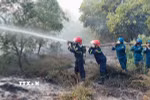 Lực lượng chức năng nỗ lực dập lửa. (Ảnh: TTXVN phát)