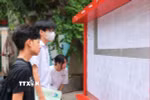 Thí sinh xem số báo danh dự thi vào lớp 10. (Ảnh: Hoàng Hiếu/TTXVN)