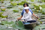 Người nghệ nhân phải dậy từ sáng sớm, tỉ mỉ chọn những bông hoa sen đủ tiêu chuẩn để ủ trà. (Ảnh: Văn Dũng/TTXVN)