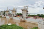 Cống Trà Sư sẽ được vận hành xả lũ vào lúc 10 giờ ngày 15/9/2025. (Ảnh: Công Mạo/TTXVN)