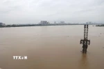 Mực nước sông Hồng đoạn chảy qua Thủ đô Hà Nội dâng cao chịu ảnh hưởng liên tiếp mưa lớn từ cơn bão số 10 và hoàn lưu vùng áp thấp suy yếu từ cơn bão số 11. (Ảnh: Vũ Quang Đán/TTXVN)