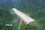 Trang trại nơi xảy ra tai nạn thuộc Dự án chăn nuôi lợn giống và lợn thương phẩm của Công ty trách nhiệm hữu hạn Dabaco Thanh Hóa (Tập đoàn Dabaco Việt Nam). (Ảnh: TTXVN phát)