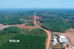 Không chỉ mang ý nghĩa bảo vệ tài nguyên thiên nhiên, những cánh rừng Mã Đà còn đóng vai trò quan trọng trong điều hòa khí hậu, giữ nguồn nước và bảo vệ môi trường sinh thái cho khu vực. (Ảnh: Đậu Tất Thành/TTXVN)