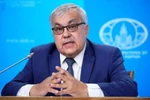 Thứ trưởng Ngoại giao Sergey Vershinin. (Nguồn: Reuters)