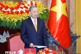 Tổng Bí thư, Chủ tịch nước Tô Lâm phát biểu tại buổi gặp mặt. (Ảnh: Thống Nhất/TTXVN)