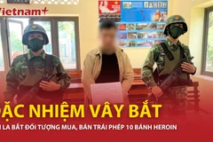 Sơn La bắt đối tượng mua, bán trái phép 10 bánh heroin 