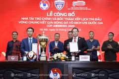 Công ty Cổ phần Acecook Việt Nam tiếp tục đồng hành cùng Vòng Chung kết Giải Bóng đá Vô địch U15 Quốc gia 2025. (Ảnh: VFF)