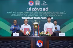 Vòng loại Giải Bóng đá Vô địch lứa tuổi 16 Quốc gia - Trường Tươi Cup 2026 sẽ diễn ra từ ngày 22/8 đến ngày 29/11/2026. (Ảnh: VFF)