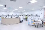 Nhân viên y tế làm công tác cấp cứu cho bệnh nhân. (Ảnh: PV/Vietnam+)